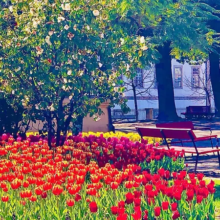 Poveiros Oak Loft - Santo Ildefonso 公寓