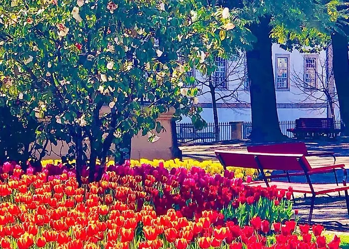 Poveiros Oak Loft - Santo Ildefonso Lejlighed